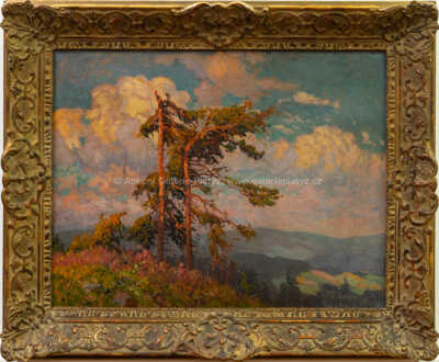 František Cína - Jelínek - Pohled do údolí