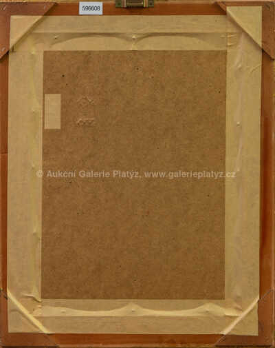  / Podomní obchodník / Zdeněk Burian