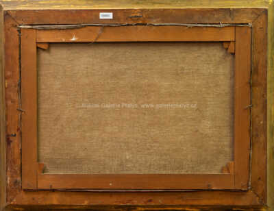  / Nad chalupou / František Cína - Jelínek