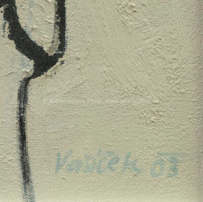  / Neznámé prostory / Vladimír Vašíček