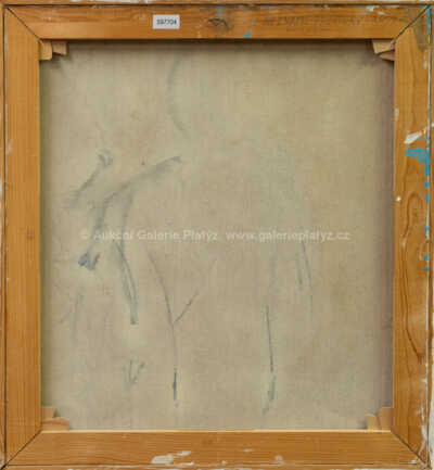  / Neznámé prostory / Vladimír Vašíček