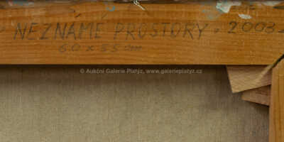  / Neznámé prostory / Vladimír Vašíček