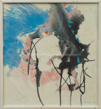 Vladimír Vašíček - Neznámé prostory