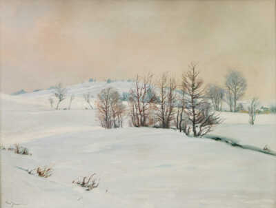  / Ranní zimní nálada (Pustá Rybná) / Gustav  Porš