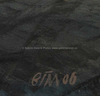  / La casa / Tomáš Bím