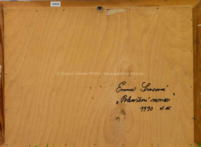  / Pokušení novice / Emma Srncová