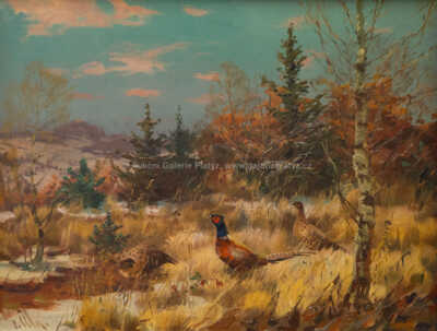  / Bažanti / Otakar Číla