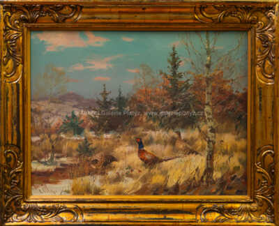 Otakar Číla - Bažanti