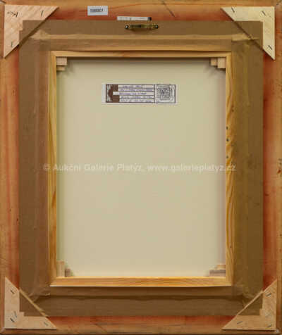  / Bruslení na Vltavě / Vladimír Jeniš