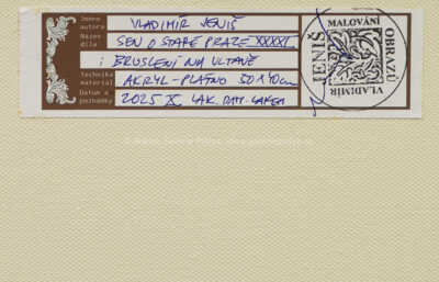  / Bruslení na Vltavě / Vladimír Jeniš