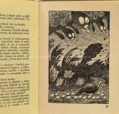  / Maminka Ťok Ťok a její děti / Ondřej  Sekora