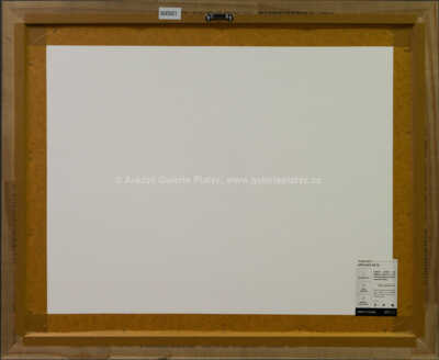  / Megalosaurus / Petr Modlitba