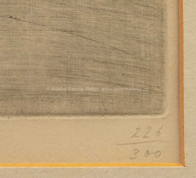  / Vysoká škola III / František  Tichý