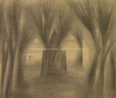  / Studna v Karlachových sadech / Jan  Zrzavý