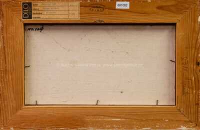  / Pohled na Hrad / Jiří Chadima