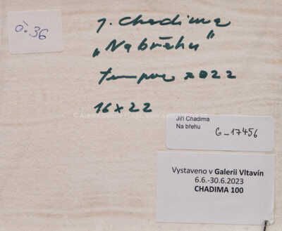  / Na břehu / Jiří Chadima