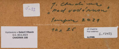  / Pod vodárnou / Jiří Chadima