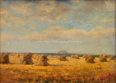  / Snopy pod Řípem /  Josef Holub