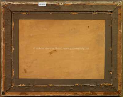  / Snopy pod Řípem /  Josef Holub