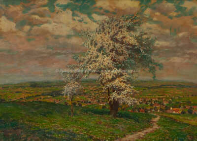  / Jaro v Běstovicích / Jan Honsa