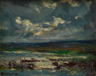  / Dunajovický rybník / František Líbal