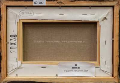  / Ad hocc 17 / Jiří Anderle