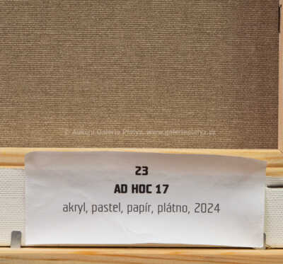  / Ad hocc 17 / Jiří Anderle