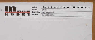  / Spící / Kristian Kodet