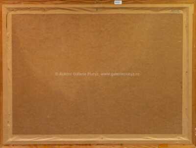  / Ptáci v letu / Olga Vyleťalová - Poláčková