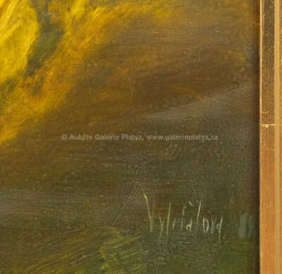  / Ptáci v letu / Olga Vyleťalová - Poláčková