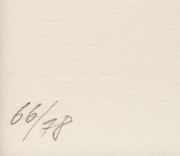  / Rising Ellipse / Jan Kaláb