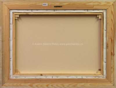  / Malá Strana / František Ringo Čech