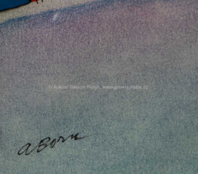  / Mach a Šebestová / Adolf Born