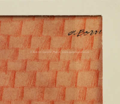  / Akrobacie / Adolf Born