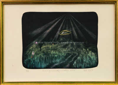 Zdeněk Hajný - Hledání světla