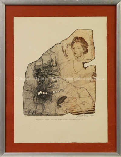 Jiří Anderle - Dáma před zrcadlem