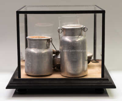  / Zmineralizované zátiší / Jan Švankmajer