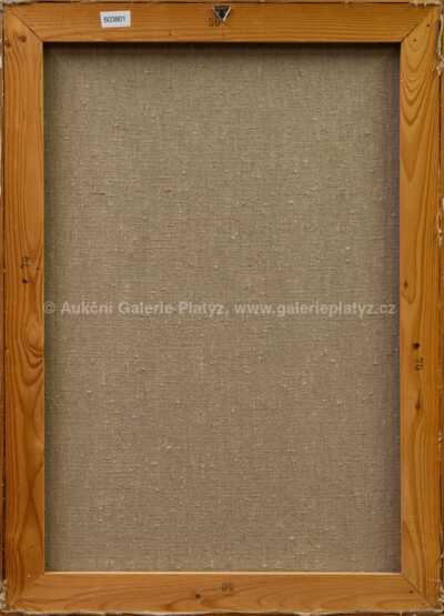  / Člověk a anděl / Vladimír Komárek