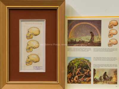  / Lebky / Zdeněk Burian