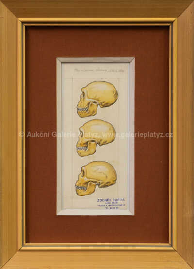 Zdeněk Burian - Lebky