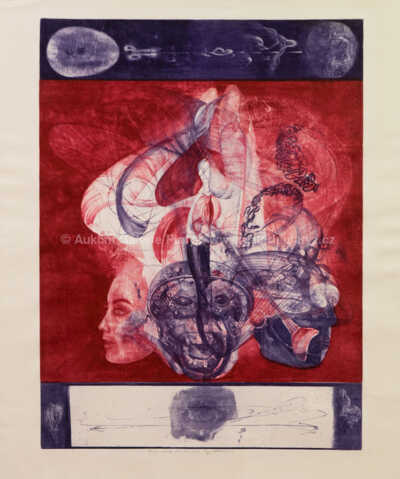  / Opice a dívka / Jiří Anderle