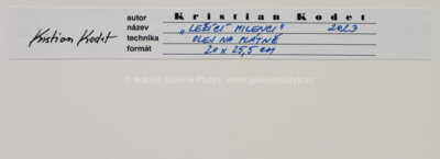  / Ležící milenci / Kristian Kodet