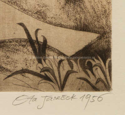  / Ptáček / Ota Janeček