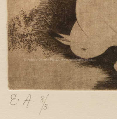  / Ptáček / Ota Janeček