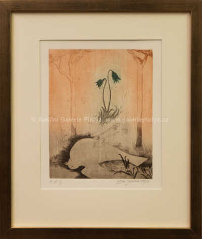 Ota Janeček - Ptáček