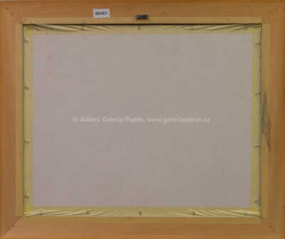  / Závora / Jan Saudek