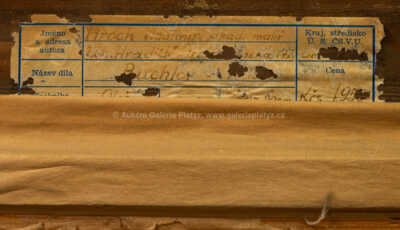  / Buchlov / Vladimír Hroch