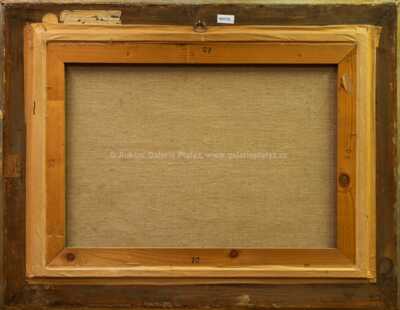  / Buchlov / Vladimír Hroch