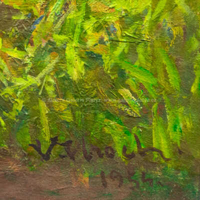  / Buchlov / Vladimír Hroch