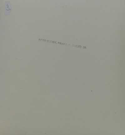  / Pohled z altánku / Josef Sudek